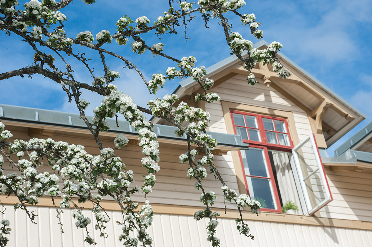 Ronneby Brunnspark Vandrarhem och B&B in Ronneby, Sweden